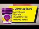 youtube - [Video]