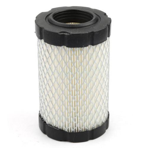 Filtro De Aire Briggs & Stratton De 3.5 A 5HP (Cod Fab 2006)