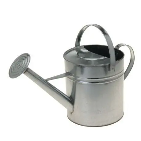 Regadera Zinc N1  8 Litros