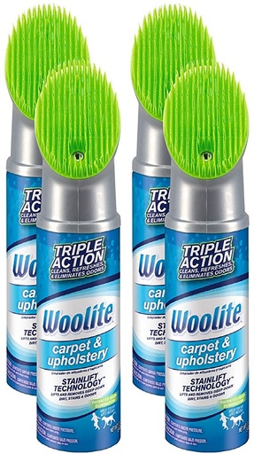 Limpiaalfombras Y Tapices Woolite Aerosol 334gr