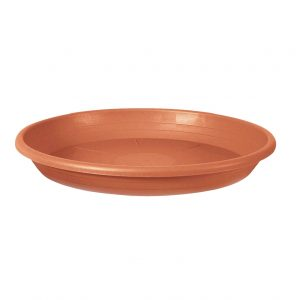 Plato Nº 32 Barro