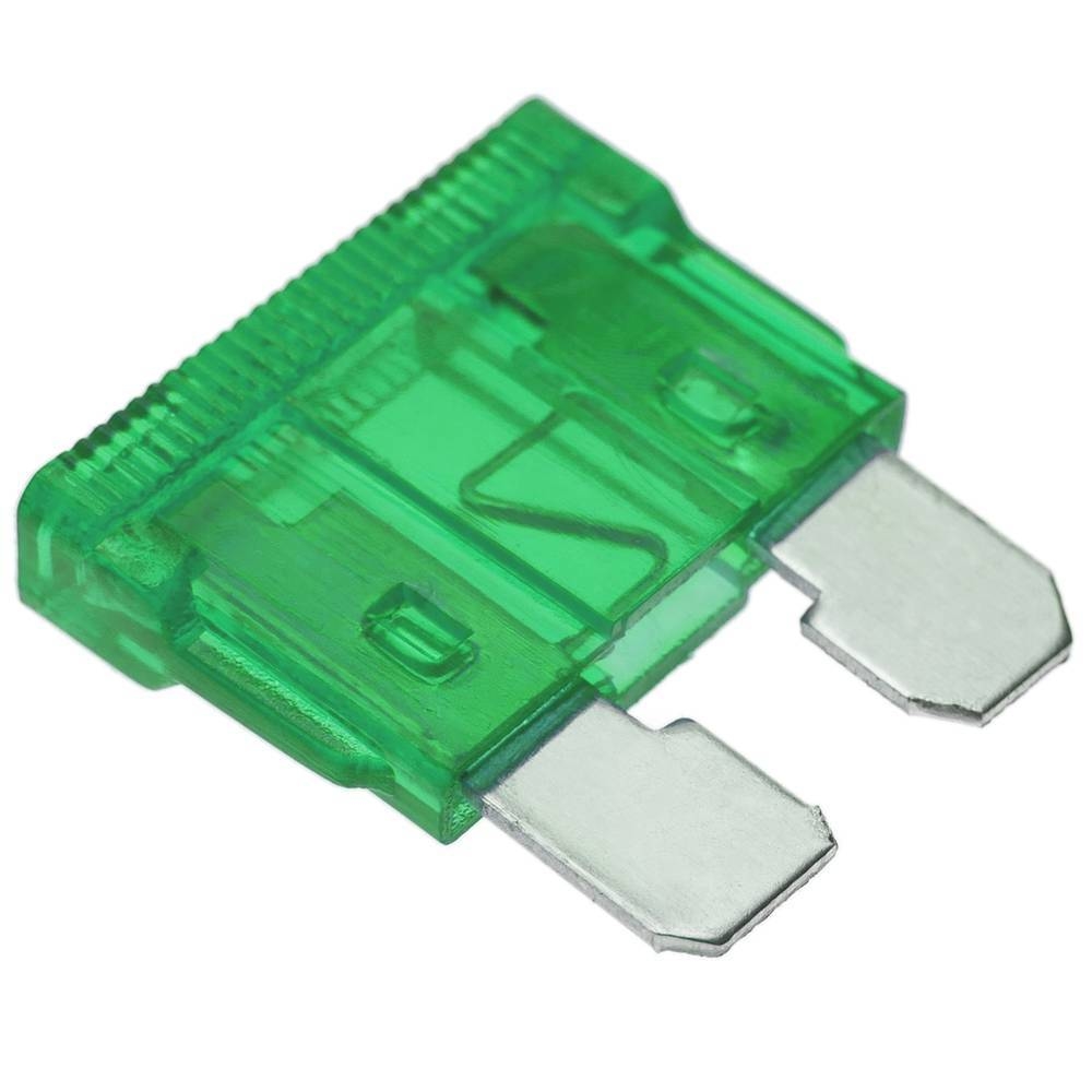 Fusibles Ficha 30A