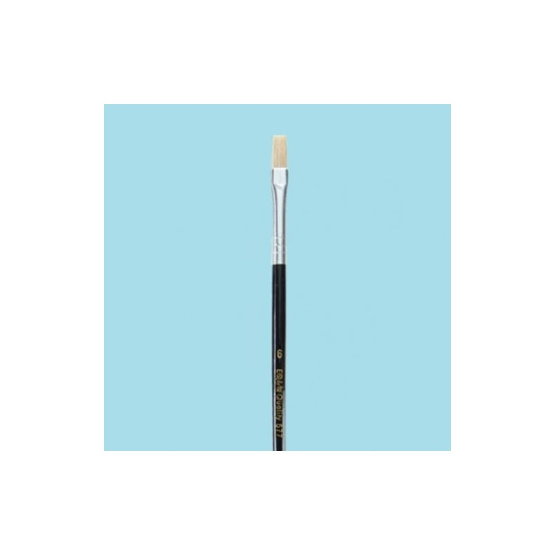 Pincel Quality Plano Cerda China Nº 12