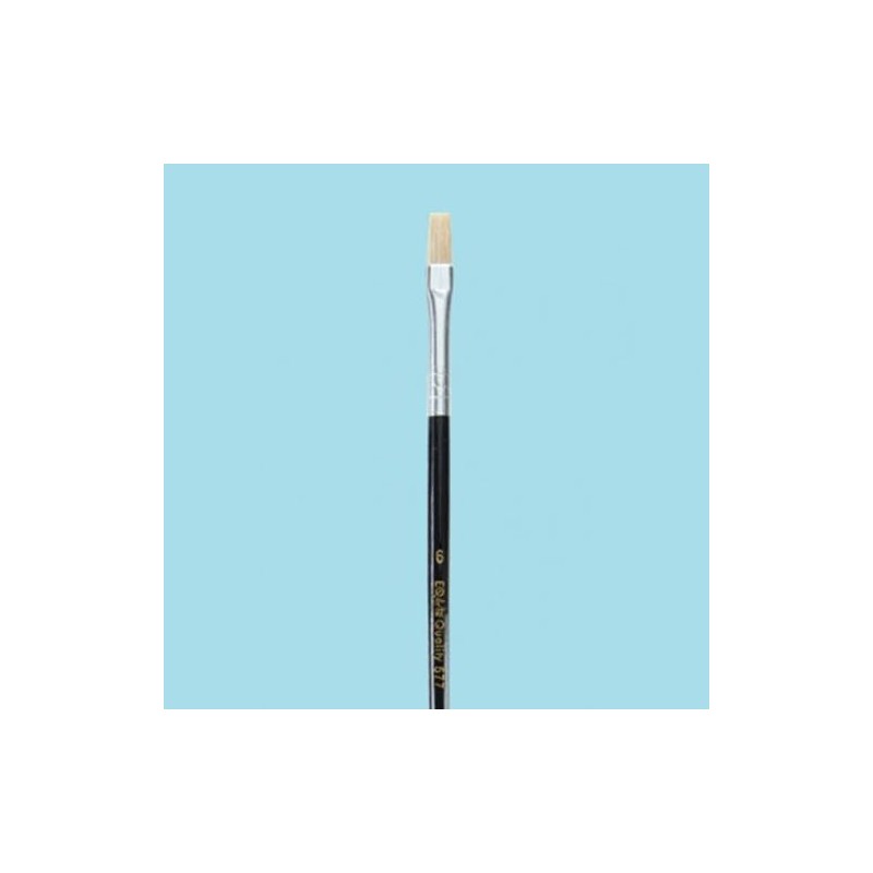 Pincel Quality Plano Cerda China Nº 16