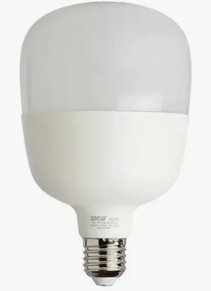 Lampara LED Alta Potencia 30W E27 BC