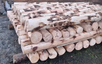 Postes De Pino Pelados Y Pintados