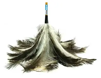 Plumero Nacional Economico Grande