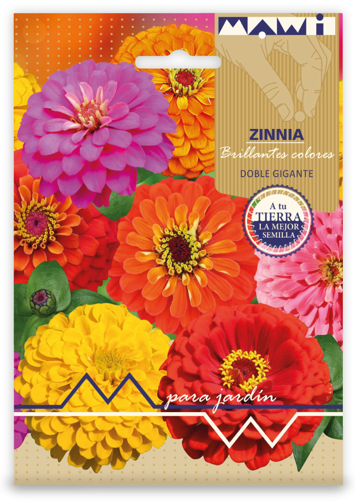 Semillas Flores Zinnia Doble Variada X Sobre