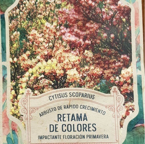 Semillas Flores Retama De Colores 30 Semillas X Sobre