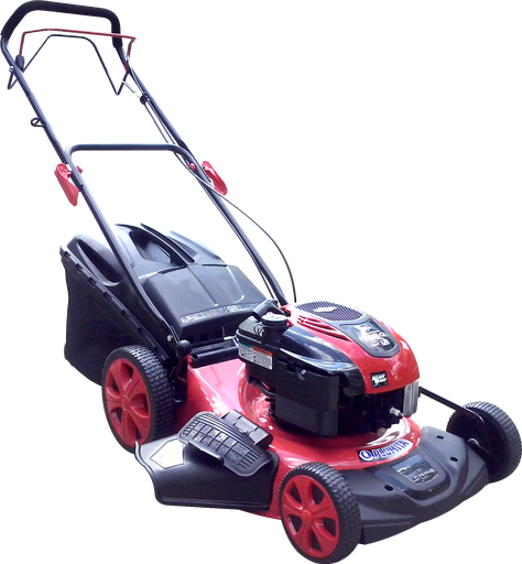 [52655] Cortadora Cesped 7,25 Hp B&S- 50Cm 8P C/Recolector