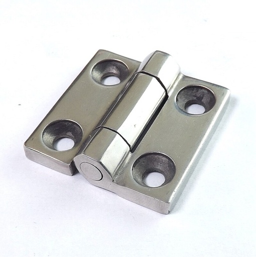 [43574] Bisagra Para Puerta FW