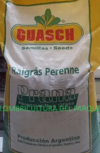 [68964] Raigras Perenne Prana Std
