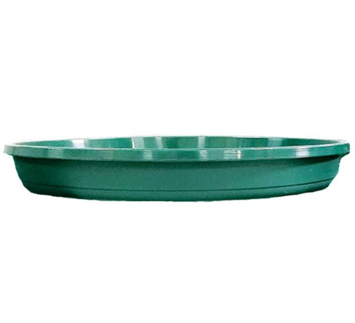 [44043] Plato N° 18 Verde