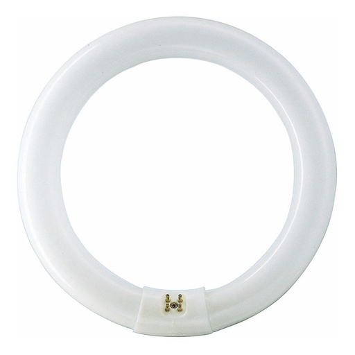 [62849] Tubo Circular Importado 32W
