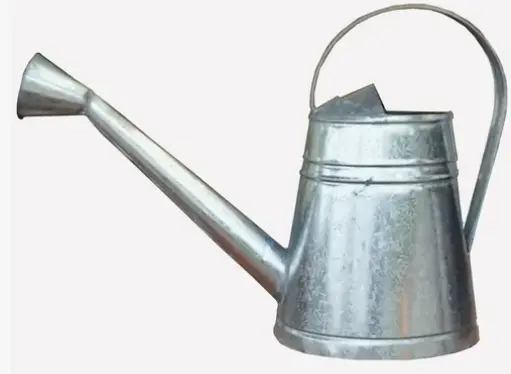 [76367] Regadera Zinc x 10Lts
