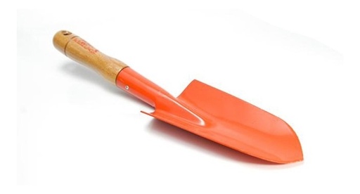 [47762] Palita P/Transplante