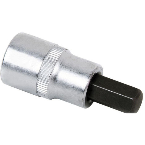 [18190] Bocallave Torx Enc1/2"C/Pta.Torx T55 X55Mm