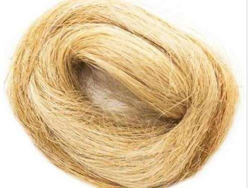 [51542] Cañamo Peinado 20 Gr