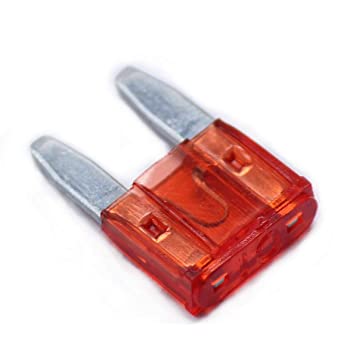 [34056] Fusible Auto Normal Typi 10Amp (C/U)