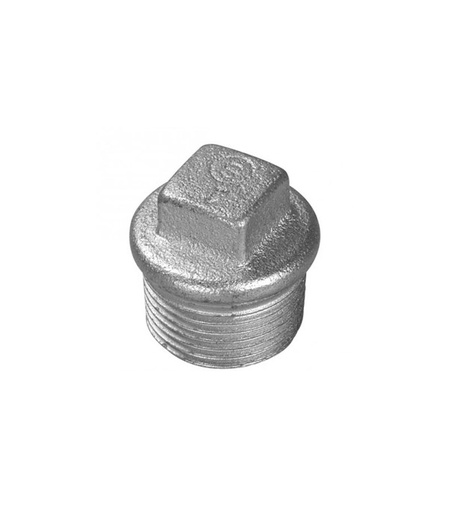 [52069] Tapones M 1" Galvanizado